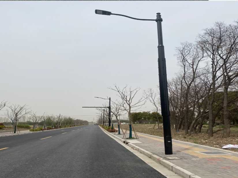 灵璧县上海综合杆 太阳能路灯工程